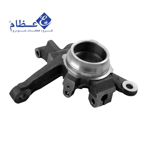 سگدست راست تیبا عظام